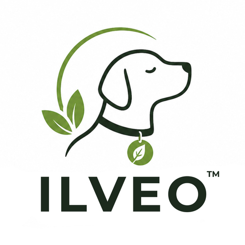ILVEO